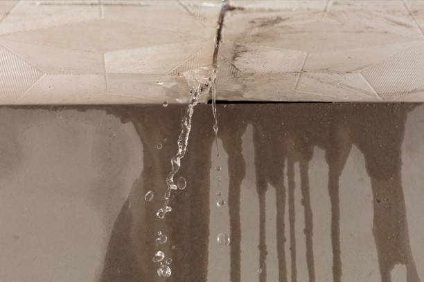 Professional Water Extraction technician working in Piermont, NY